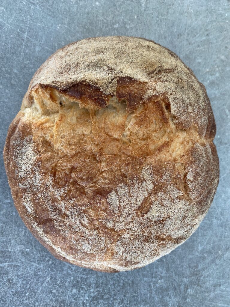 fab bakery pugliese